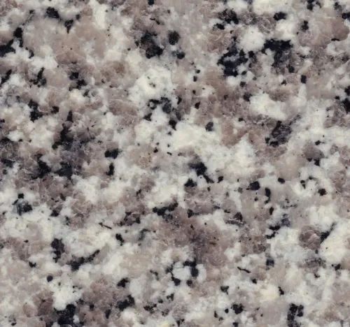 Bianco Sardo.jpg