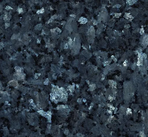 labrador-bleu-e1644436469509.jpg